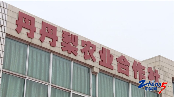 互联网双创流程,互联网双创平台有哪些企业