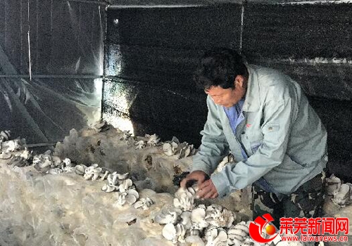 庭院式“蘑菇+葫芦”养种结合探出增收脱贫新路