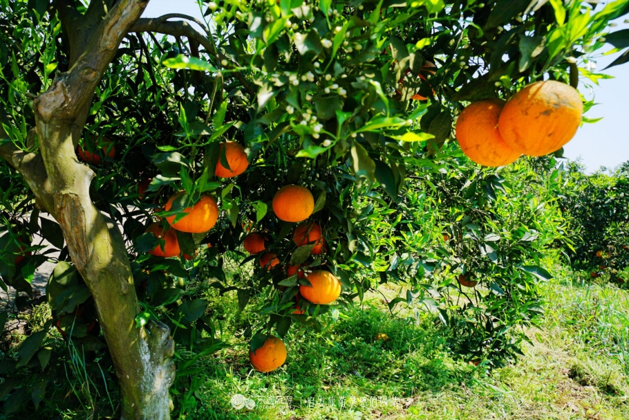 推开石门登一山拜一佛,你就修得了正果