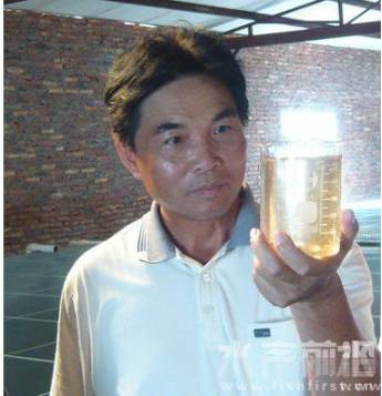 对虾养殖交流论坛,2017对虾产业