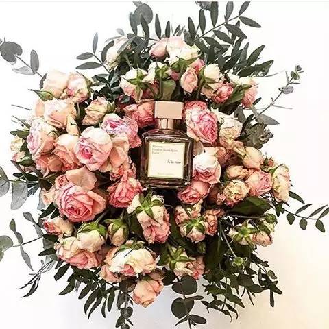 情人节礼物挑这几个准没错 (情人节礼物总有一款适合你)