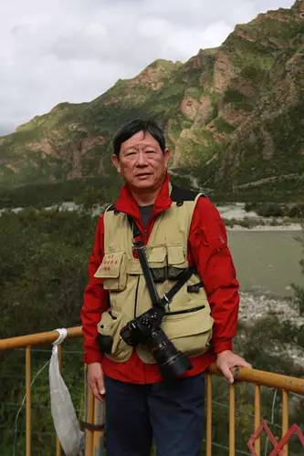 梅花香自苦寒来演讲稿,梅花香自苦寒来作文