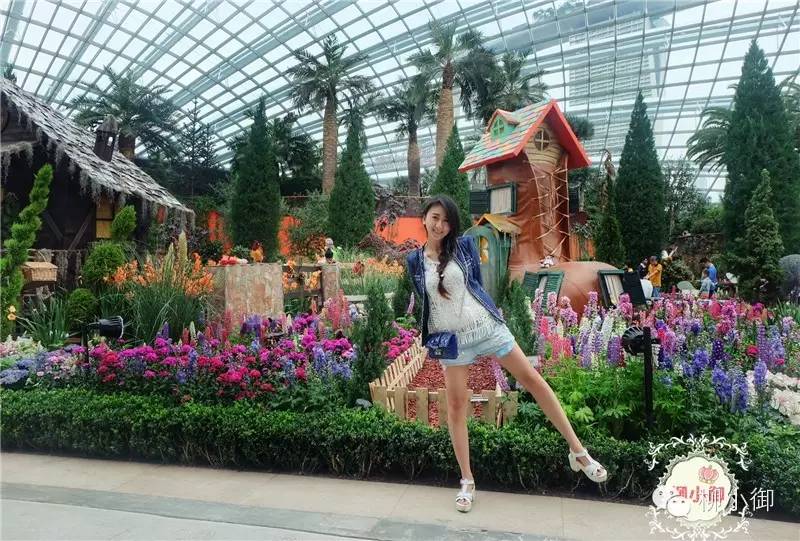 春节旅游新加坡,还能不能春节旅游去新加坡