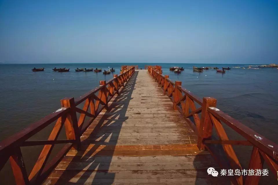 给所有秦皇岛人,这里有一份春天请你查收!