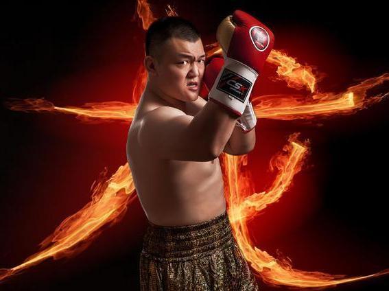 张君龙重炮拳视频,中国拳王张君龙最新战绩