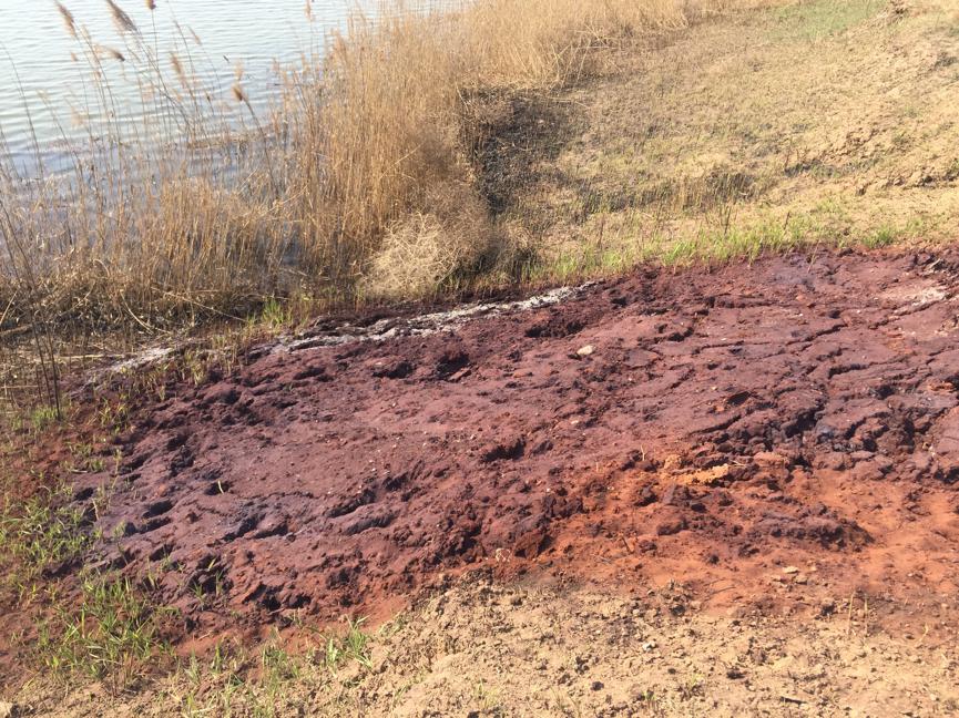 东莞一企业偷排污水被查,东莞长安一家企业偷排废水