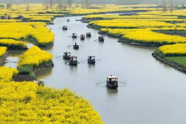 夜读｜谷雨：开到荼蘼花事了丝丝夭棘出莓墙