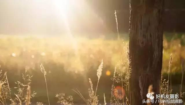 湖边拍很有感觉的照片,拍照很有感觉的照片