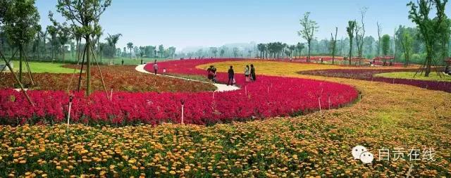 自贡四大名片,自贡有什么称号