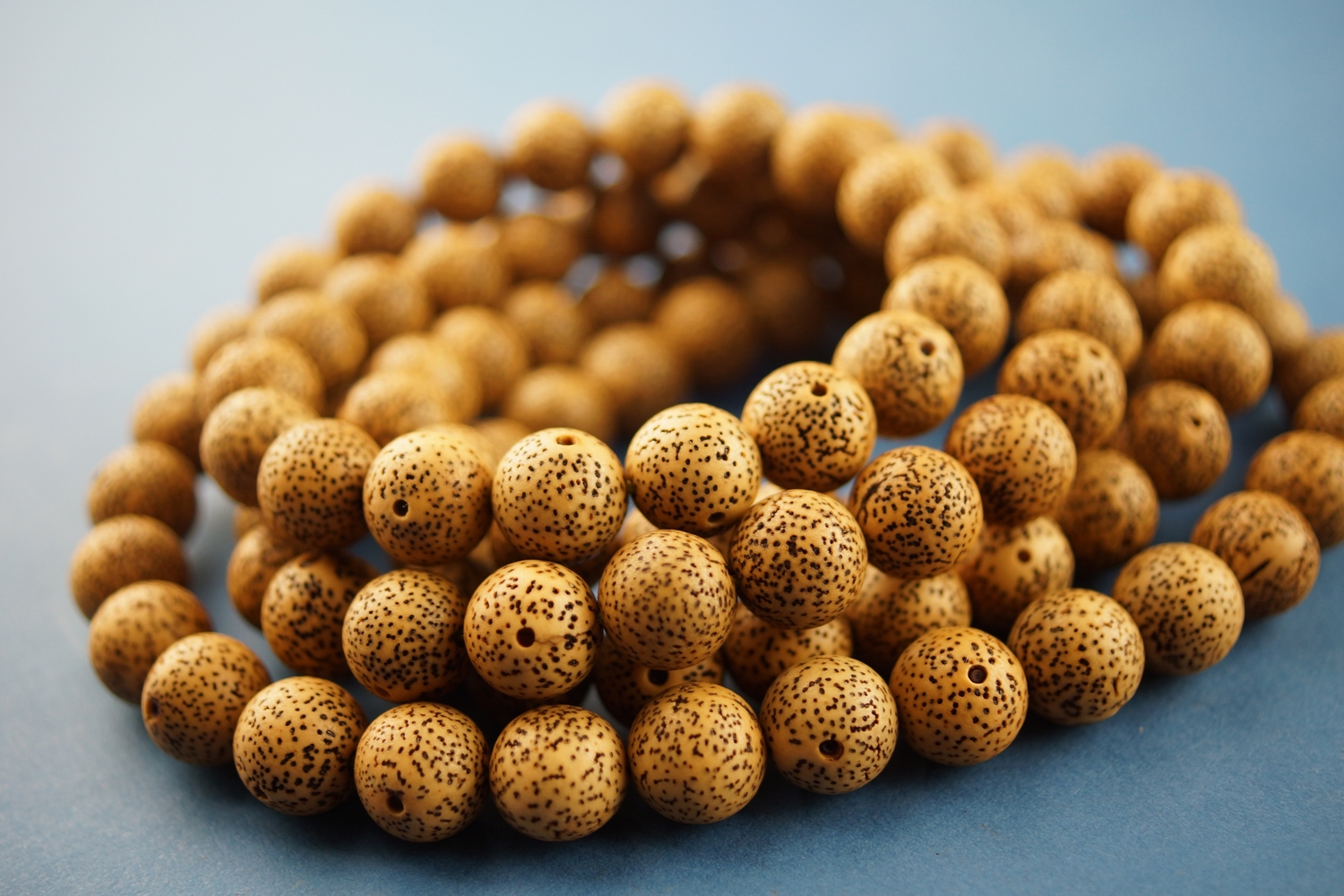 真正意义的菩提子,菩提心语修心养性