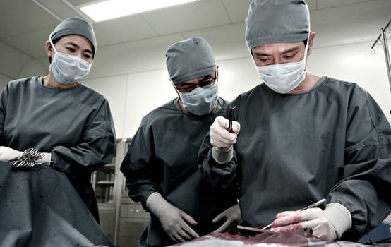 凭良心操刀：除《外科风云》还有哪些医患剧