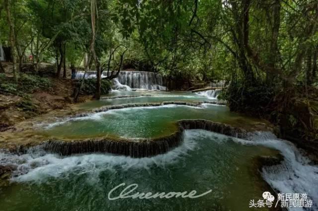 琅勃拉邦，菩提树下万人欢愉