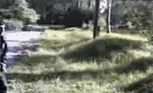 太搞笑了，旁边的眼镜老黑笑的好鬼畜