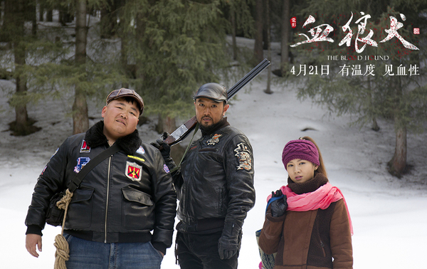 血狼犬和狼搏斗,血狼犬狼犬大战