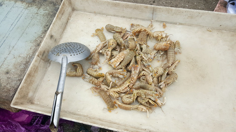 唐山市乐亭县大集,河北唐山乐亭大集