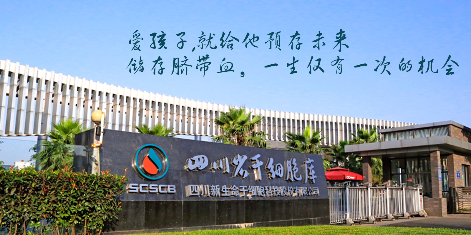 间充质干细胞移植成功案例,间充质干细胞治愈肾衰竭案例