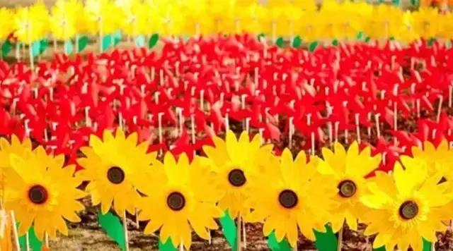 花木博览园一日游,春季游玩博览会