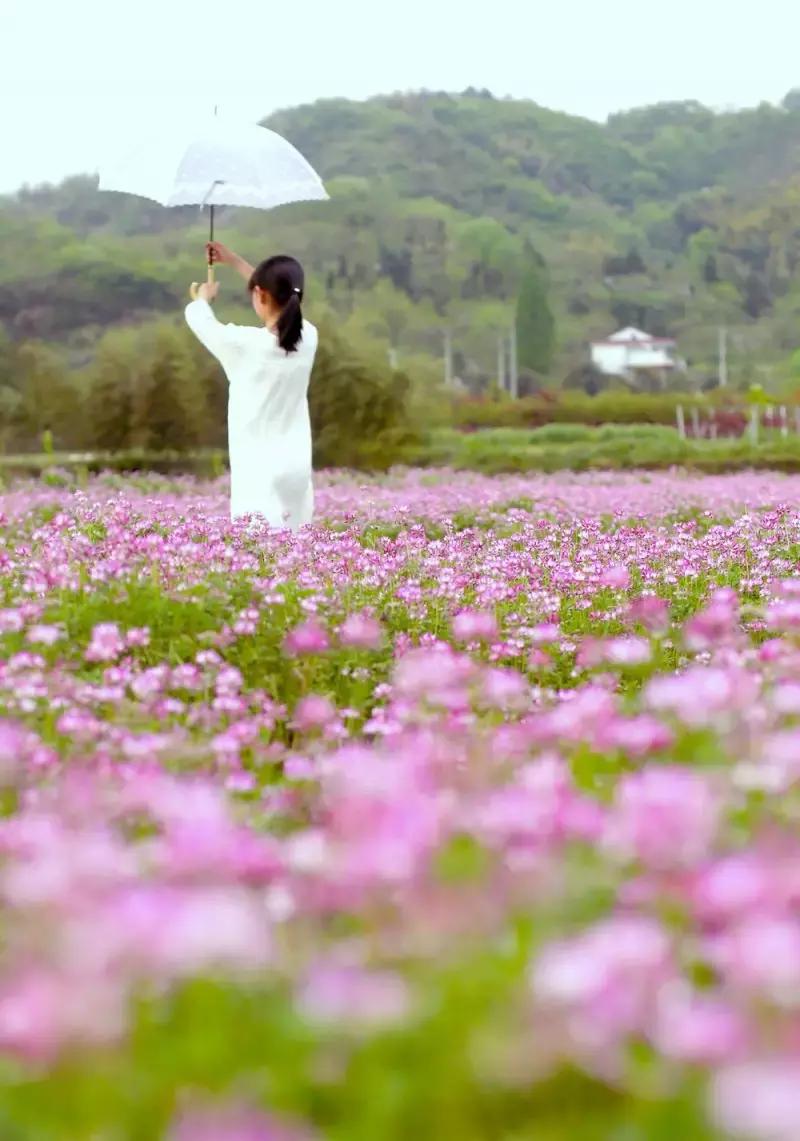 绍兴上虞为什么有海,上虞哪个地方有海