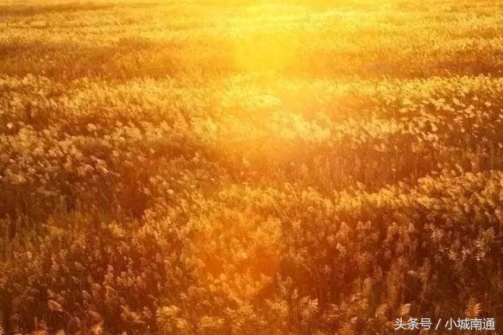 南通哪边的海最美,南通蓝色海洋海岛