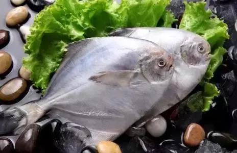 二十四节气之谷雨歌曲完整版,二十四节气谷雨动画视频完整