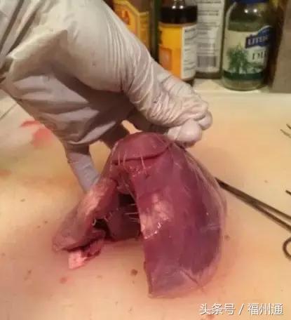 这美女厉害了！福州女大学生手绘人体解剖图太逼真！