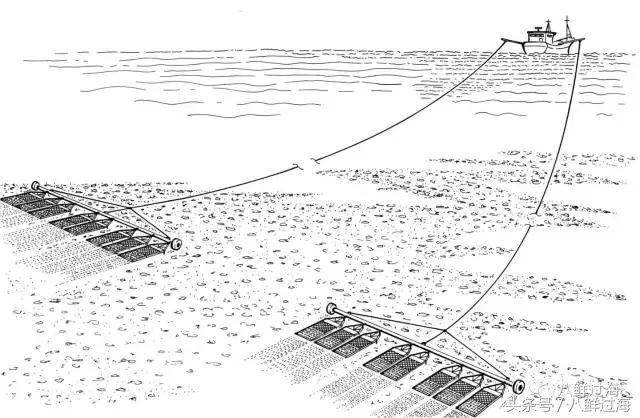 鍖楁瀬璐濋粍閲戣礉,鍔犳嬁澶у寳鏋佽礉鎺ㄨ崘