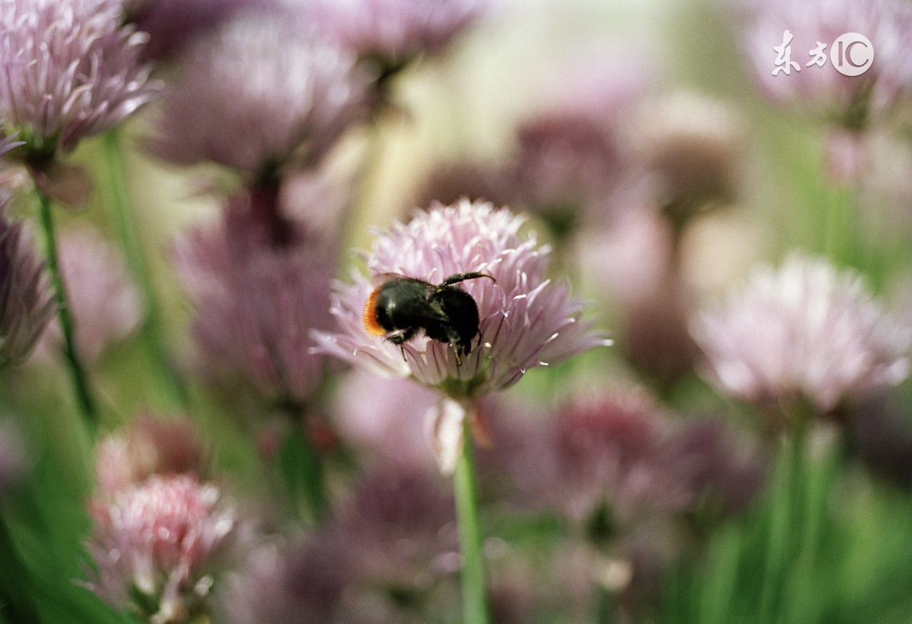 知道怀孕多久才可以去医院检查,怀孕了多少天能知道是否有胎心