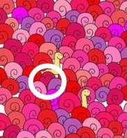 视力低于5.0有什么建议,视力低于5.0需要配眼镜吗