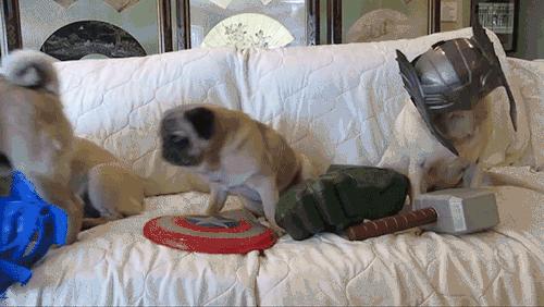 粤语金句成语,形容广东话的成语