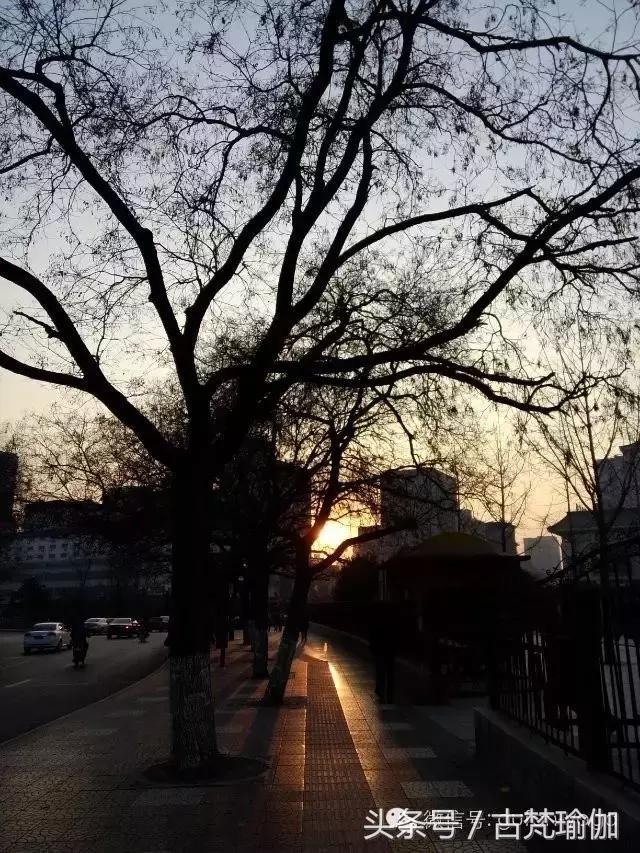 因为热爱所以开了一家瑜伽馆,在一座温暖的城市开一间瑜伽馆