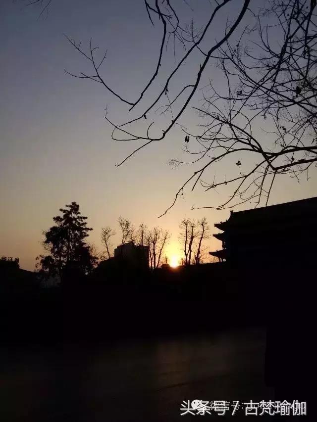 因为热爱所以开了一家瑜伽馆,在一座温暖的城市开一间瑜伽馆