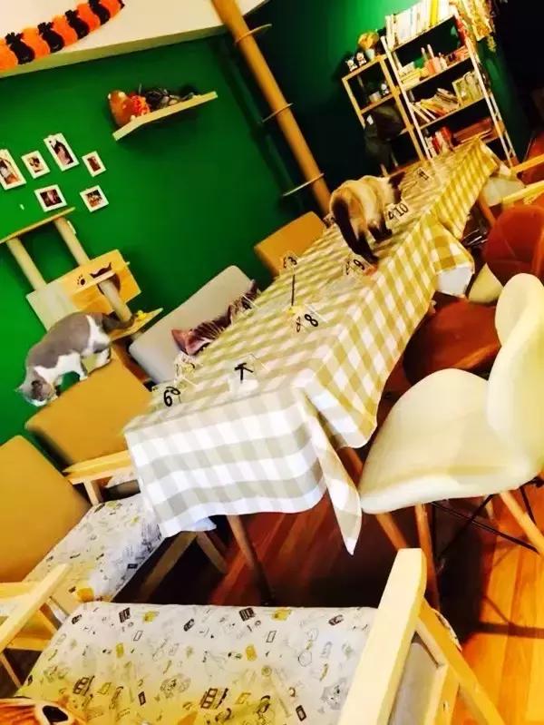 银川适合情侣去的咖啡馆,银川十大情侣约会餐厅