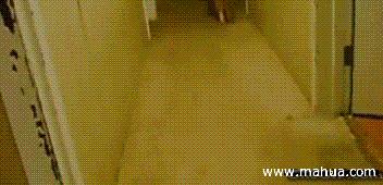 精辟广东话成语,广东话成语有多少