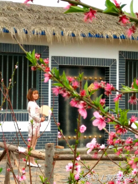 西安桃花花海旅游节,西安长安桃花园景区