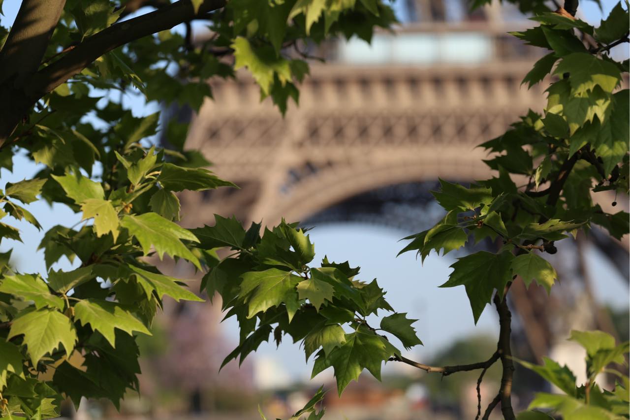 七十迈旅行的视频,七十迈海外自驾