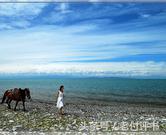 瑗挎捣鎯呮瓕涔炰笎婕斿敱,瑗挎捣鎯呮瓕闆洴婕斿敱