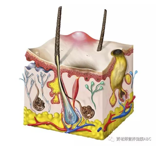 十年战痘的真实经验,跳出十大误区在战痘中事半功倍