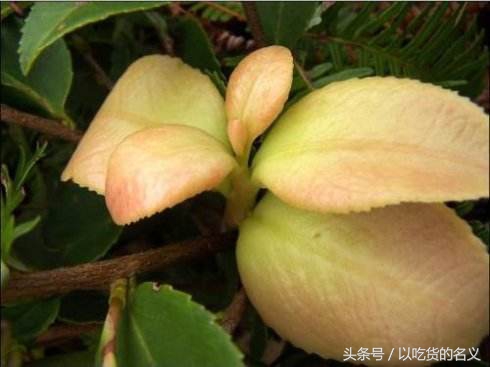 80后的我们重拾旧时光图片,80后怀念时光的图片