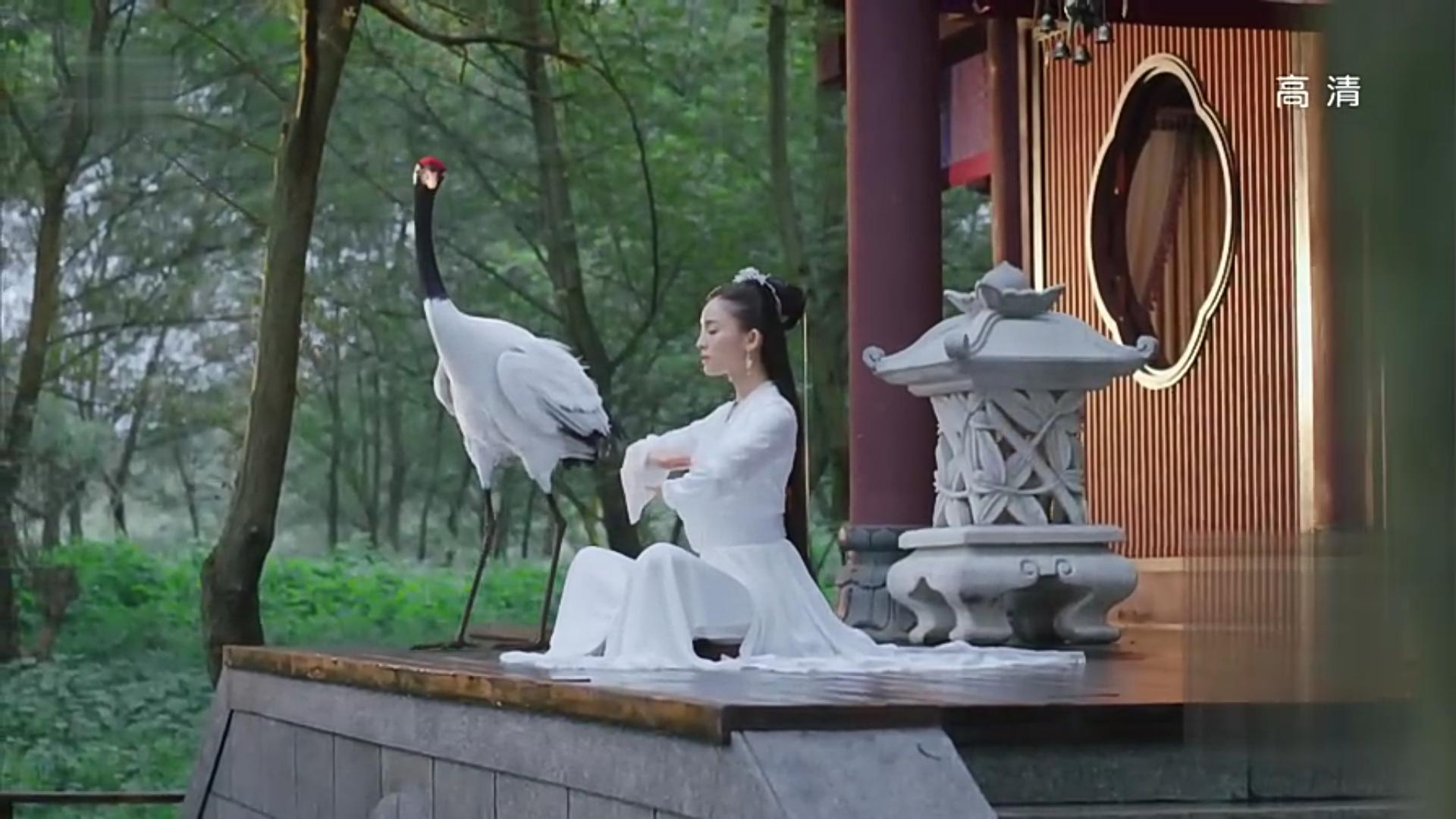 择天记鹿晗知道真相,鹿晗择天记最新消息