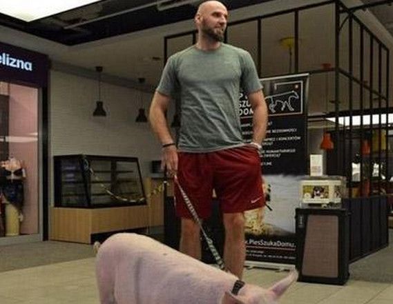 海沃德姚明,nba球星有多爱麻将