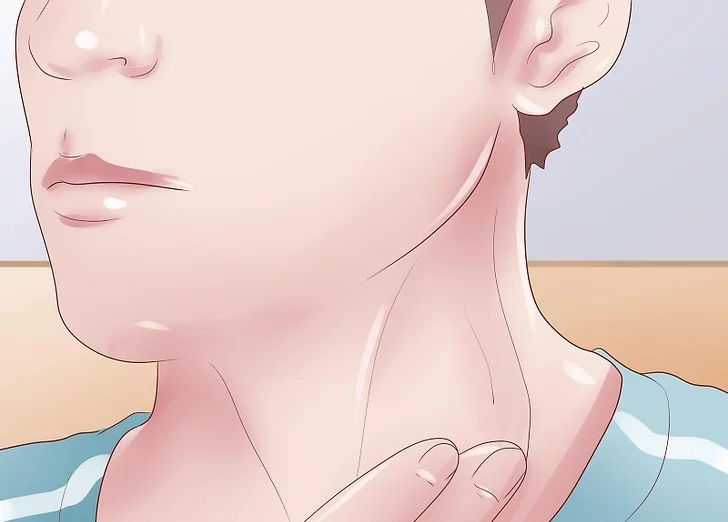 颈动脉斑块看心内科行吗,颈动脉斑块看心内科