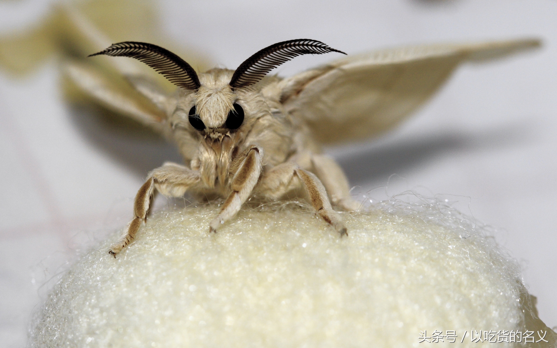 80后的我们重拾旧时光图片,80后怀念时光的图片