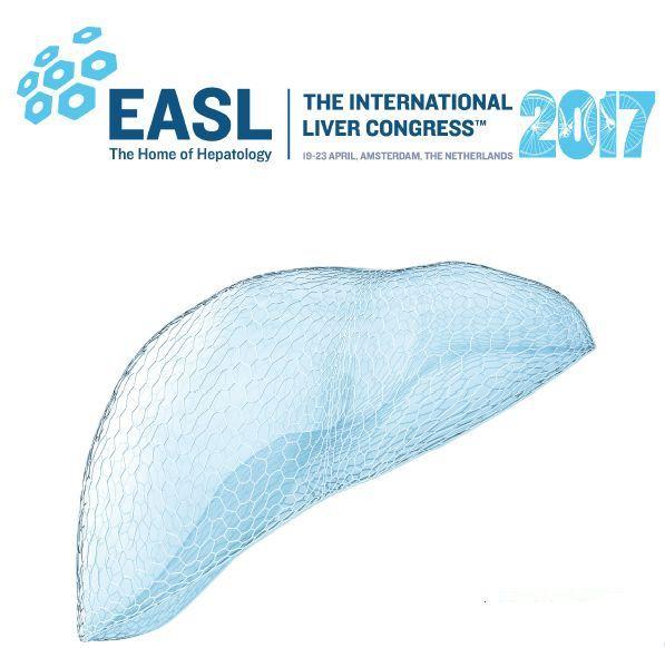 乙肝的自然病程,乙肝自然病程表