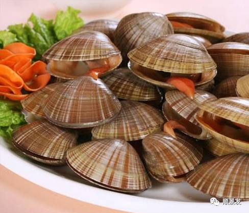十种常见贝类海鲜图片,贝类海鲜全图