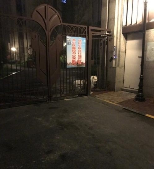 男子骑电瓶车失控撞上路边小哥,男子骑电动车撞上路边停放车受伤