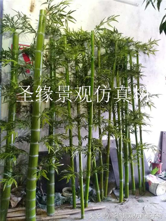 仿真粗竹子植物,似竹子的室内植物