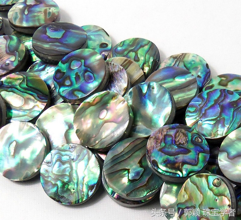 鲍鱼除了吃还代表什么,鲍鱼除了是食物还是什么东西