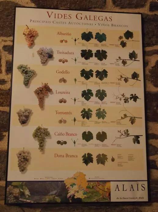 鍔犲埄瑗夸簹缇庨鎺ㄨ崘,鍔犲埄瑗夸簹缇庨鏀荤暐