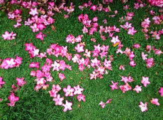 新西兰全景巴士,那些自驾游来不及知道的事儿(北岛+南岛超多公共交通实用信息各类购票详细教程InterCity)