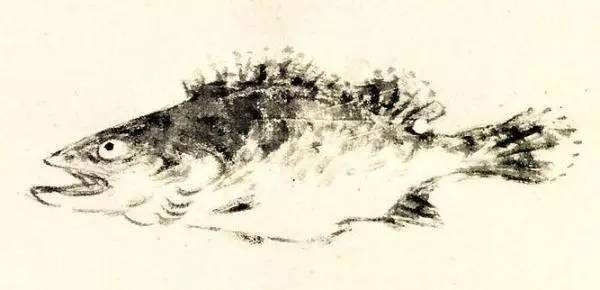 暴走漫画表情高清大图,暴走漫画表情包收纳盒